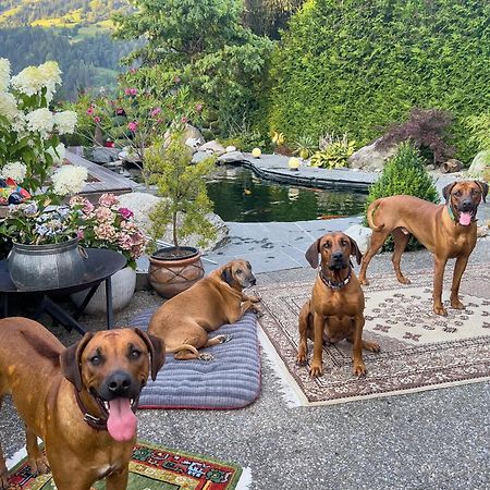 Ferienwohnung Waltensburg Breíl Exteriér fotografie