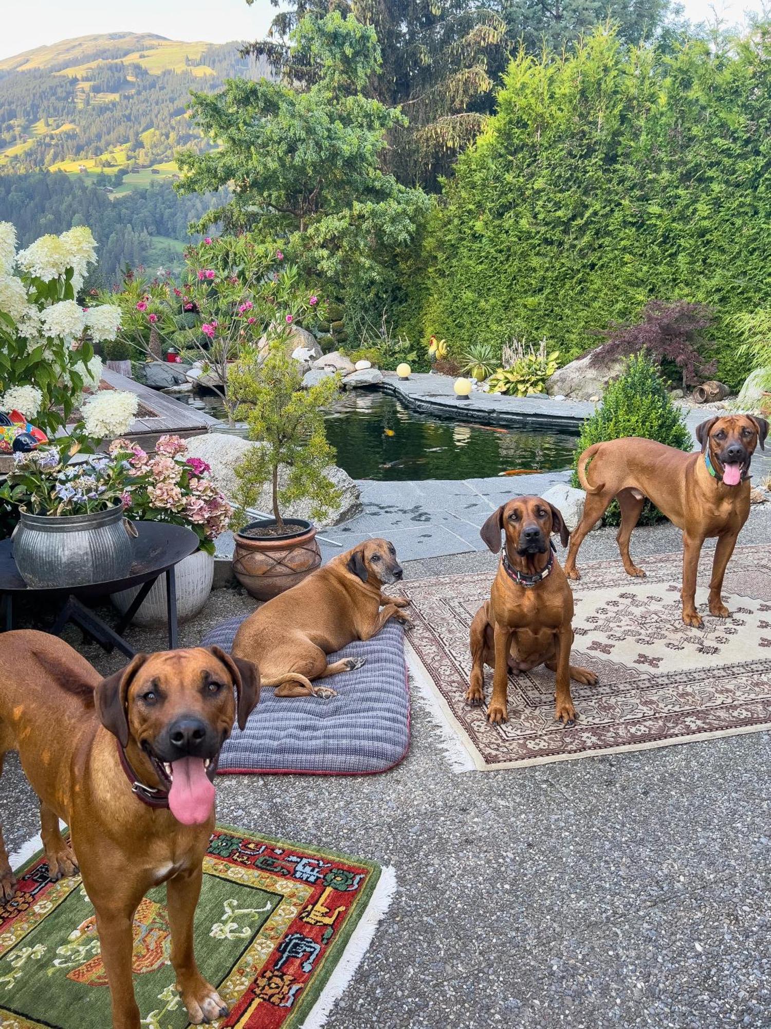Ferienwohnung Waltensburg Breíl Exteriér fotografie